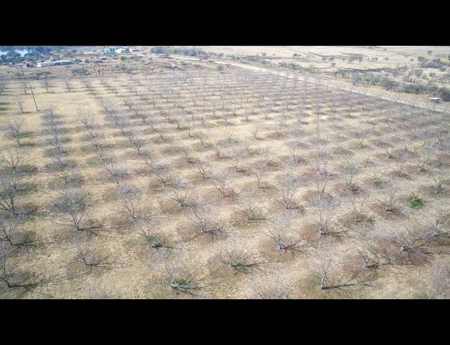 31HA FARM FOR SALE IN WEENEN
